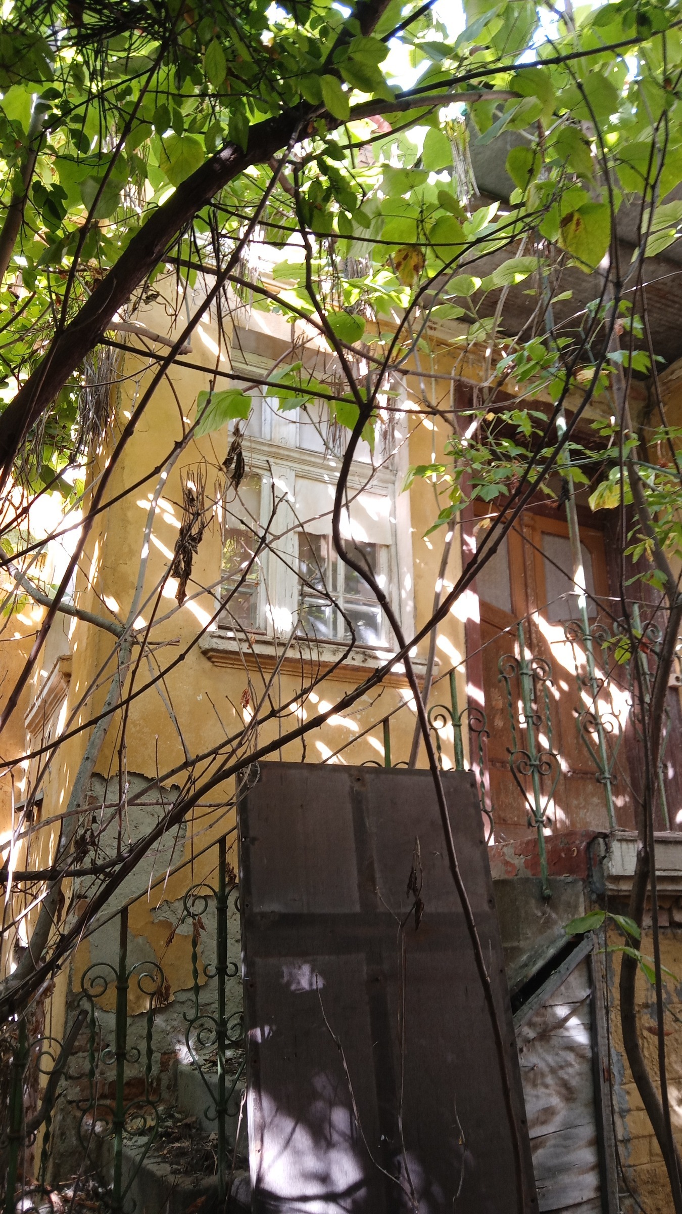 ������� ���� | Imot.bg � ����������� 8