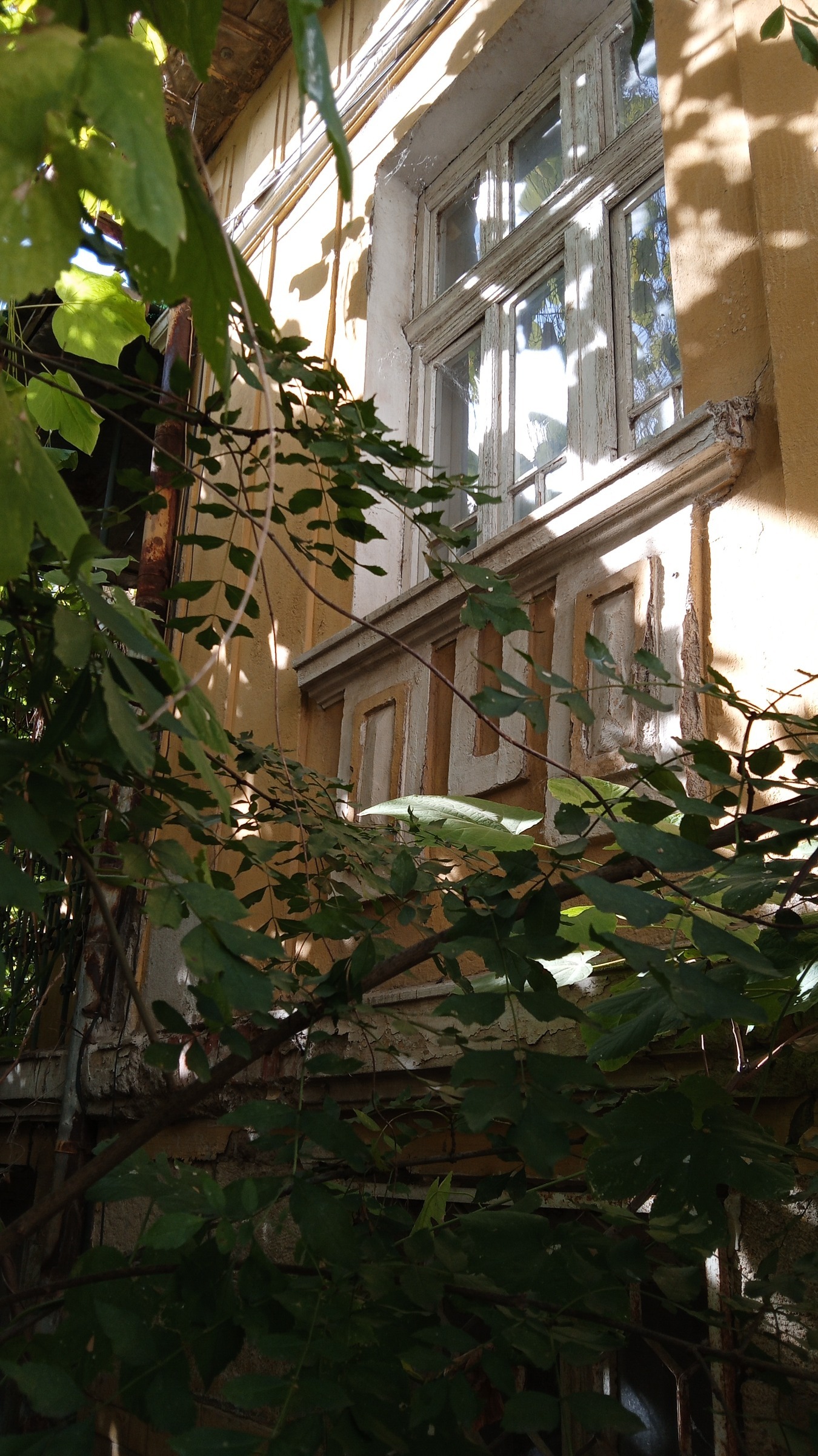 ������� ���� | Imot.bg � ����������� 7