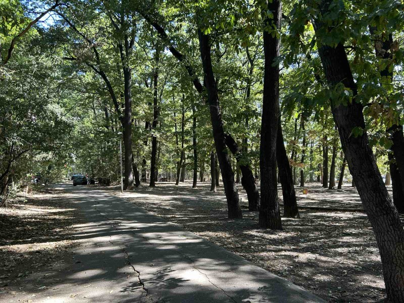 Na sprzedaż  3 sypialnie Sofia , Lozenec , 101 mkw | 40468317 - obraz [14]