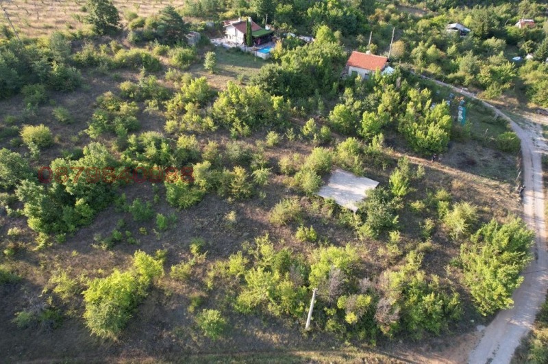 Продава ПАРЦЕЛ, с. Тополница, област Кюстендил, снимка 2 - Парцели - 52885386