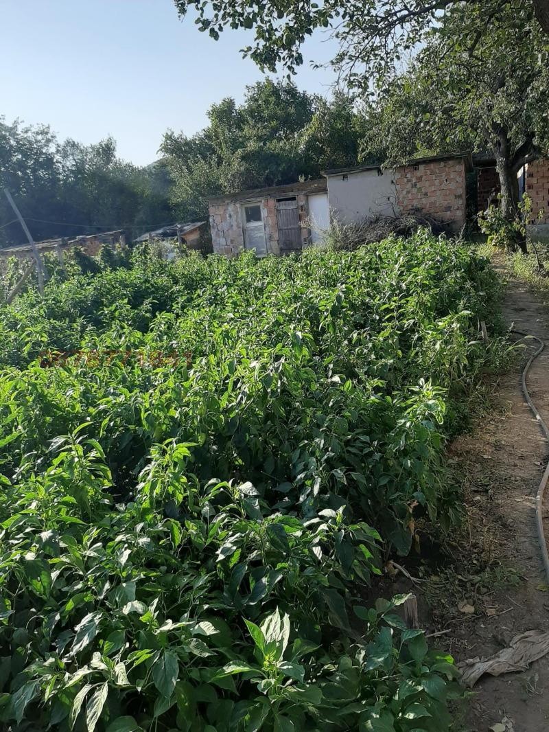 Продава ВИЛА, с. Веслец, област Враца, снимка 7 - Вили - 52784698