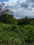 Продава ПАРЦЕЛ, област Варна, с. Близнаци • 24900 € • 28136723 — Holmes.bg