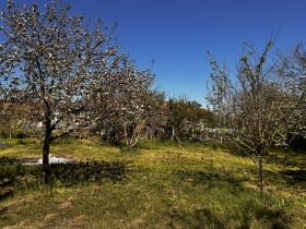 Plott Klimentovo, region Varna 4