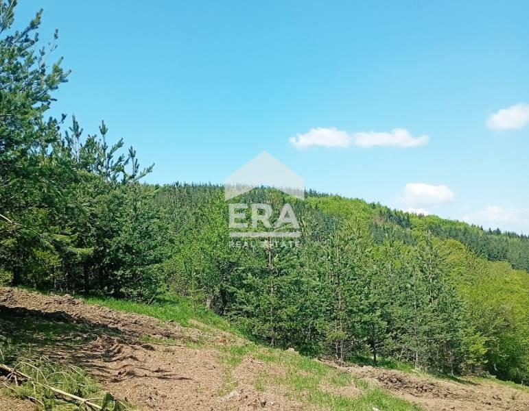 Продается  Сюжет София , Бистрица , 2301 кв.м | 83612087