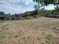 Продава ПАРЦЕЛ, с. Горно Церовене, област Монтана, снимка 2
