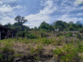 Продава ПАРЦЕЛ, област Монтана, с. Горно Церовене • 70000 лв. • 33232973 — Holmes.bg