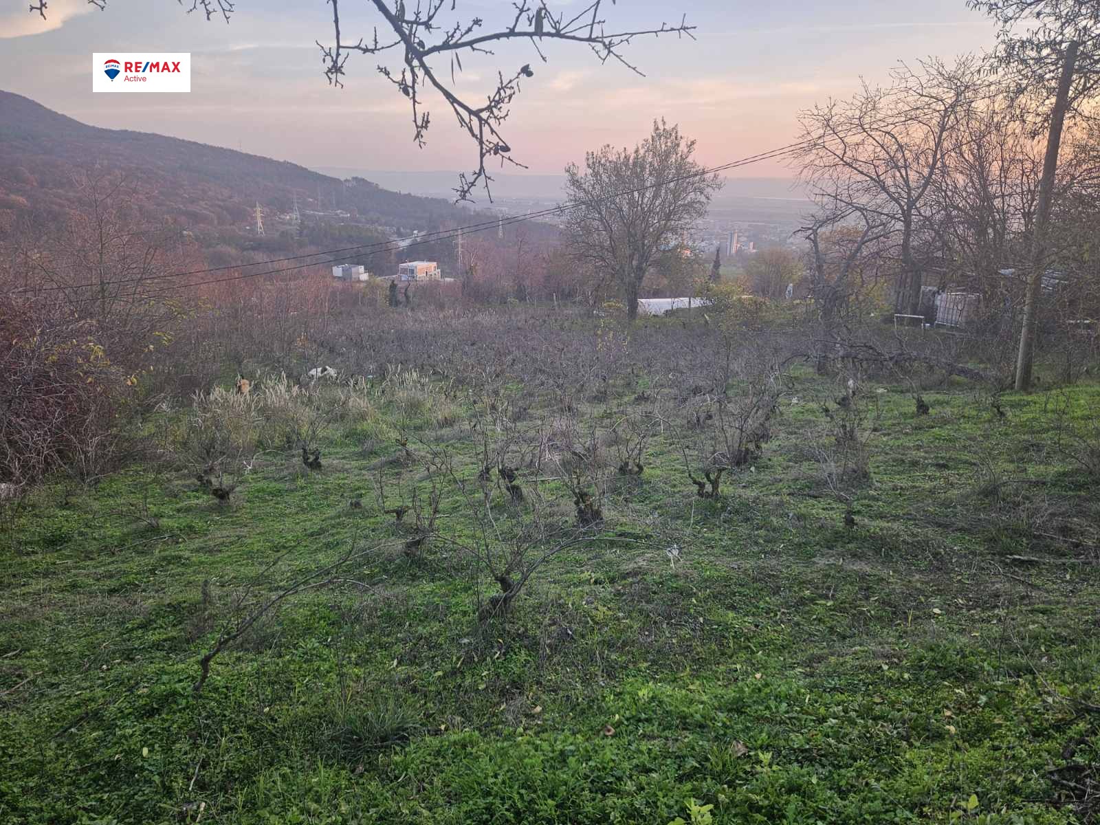 ������� ������ | Imot.bg � ����������� 5