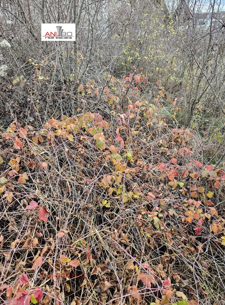 Продава КЪЩА, с. Гърло, област Перник, снимка 9 - Къщи - 52615241