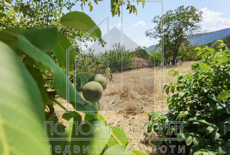Te koop  Verhaallijn regio Plovdiv , Kuklen , 1363 m² | 15194160 - afbeelding [4]