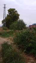 Продава ЗЕМЕДЕЛСКА ЗЕМЯ, с. Чучулигово, област Благоевград, снимка 2