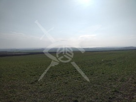 ����� ������� ������,���� ������, ����� ������ - ���� �