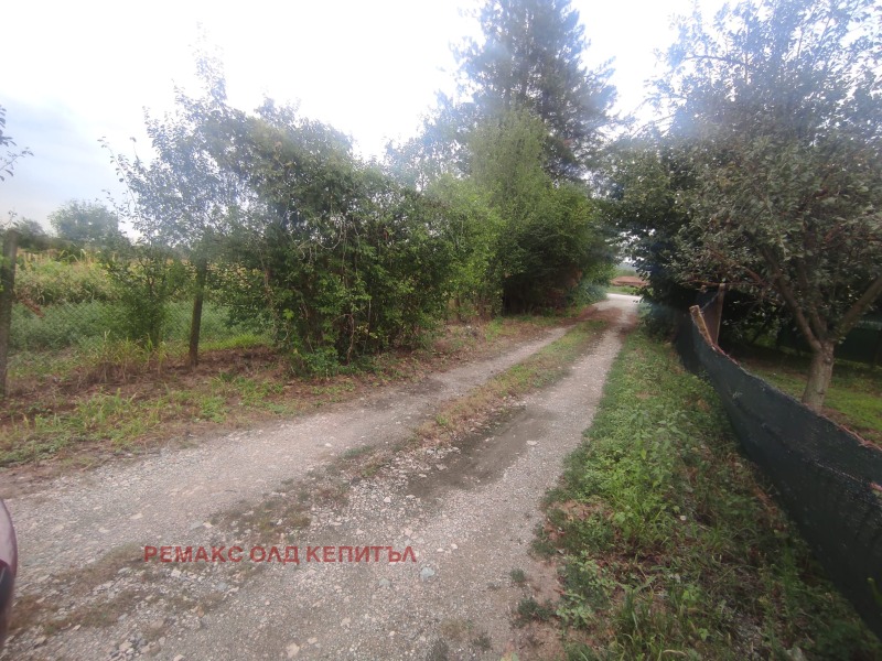 Na prodej  Spiknutí oblast Veliko Tarnovo , Kapinovo , 1500 m2 | 45558822 - obraz [4]