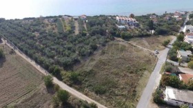 ����� ������� ������,���������, ������