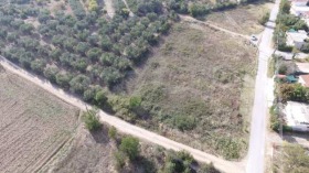 ������� ������ | Imot.bg � ����� ������ 8