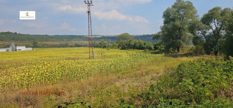 For Sale  Land region Pernik , Kovachevtsi , 6.449 dka | 80794046 - image [2]