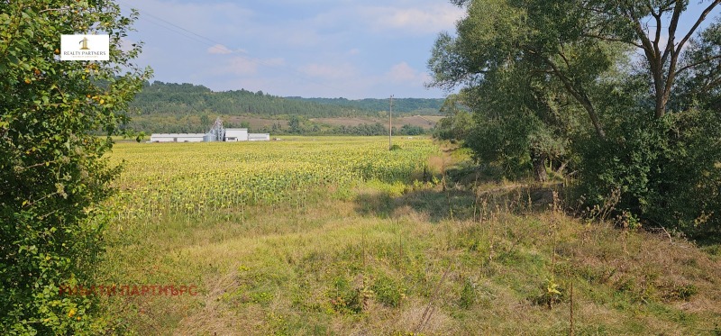 For Sale  Land region Pernik , Kovachevtsi , 6.449 dka | 80794046 - image [4]