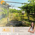 Продава ВИЛА, град Търговище, Вилна зона • 85000 лв. • 17962436 — Holmes.bg