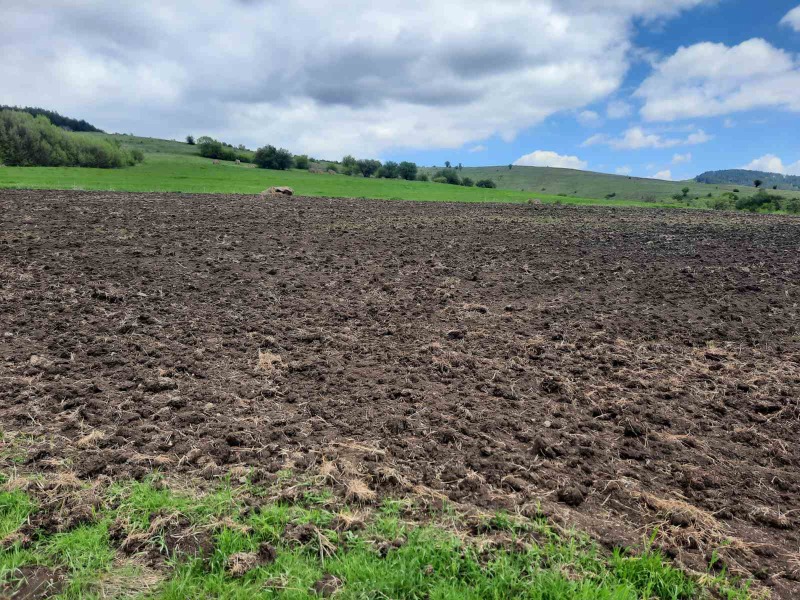 Na prodej  Přistát oblast Pernik , Arzan , 4 dka | 41642663 - obraz [9]