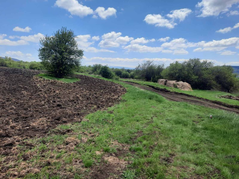 Na prodej  Přistát oblast Pernik , Arzan , 4 dka | 41642663 - obraz [3]