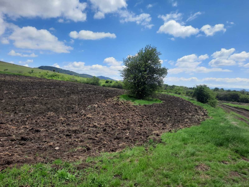 Na prodej  Přistát oblast Pernik , Arzan , 4 dka | 41642663 - obraz [7]