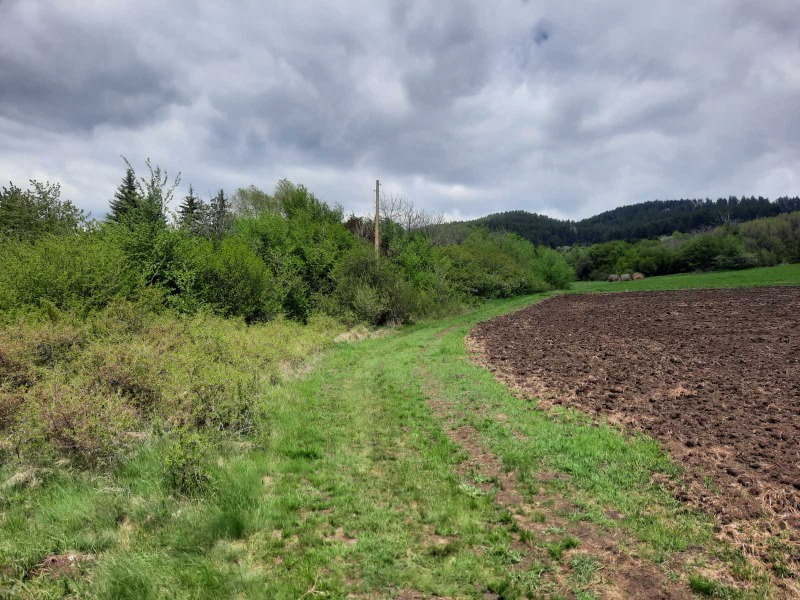 Na prodej  Přistát oblast Pernik , Arzan , 4 dka | 41642663 - obraz [5]