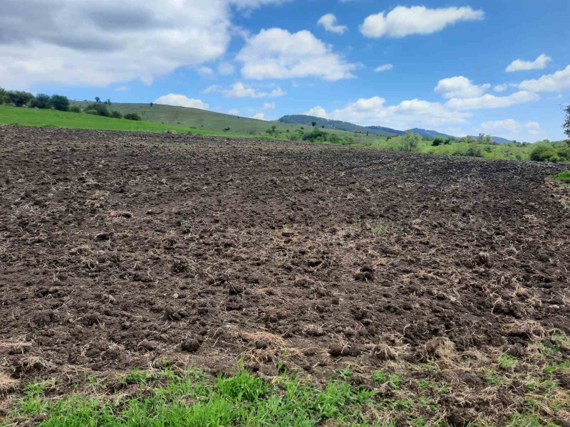 Na prodej  Přistát oblast Pernik , Arzan , 4 dka | 41642663 - obraz [11]