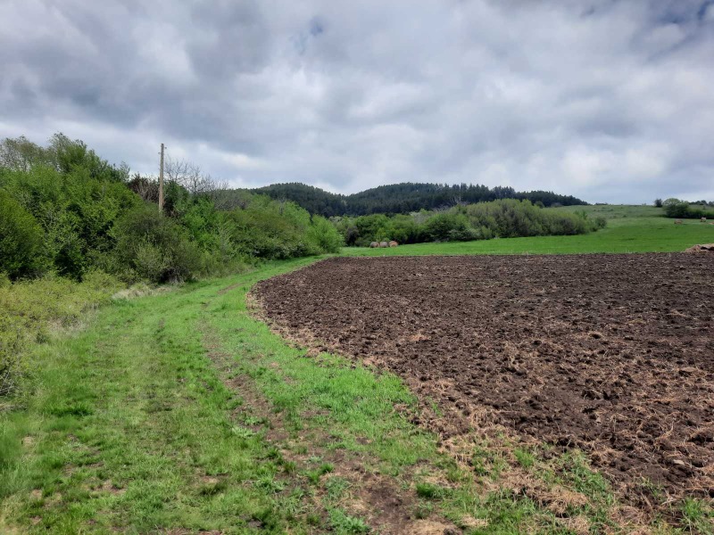 Na prodej  Přistát oblast Pernik , Arzan , 4 dka | 41642663 - obraz [2]