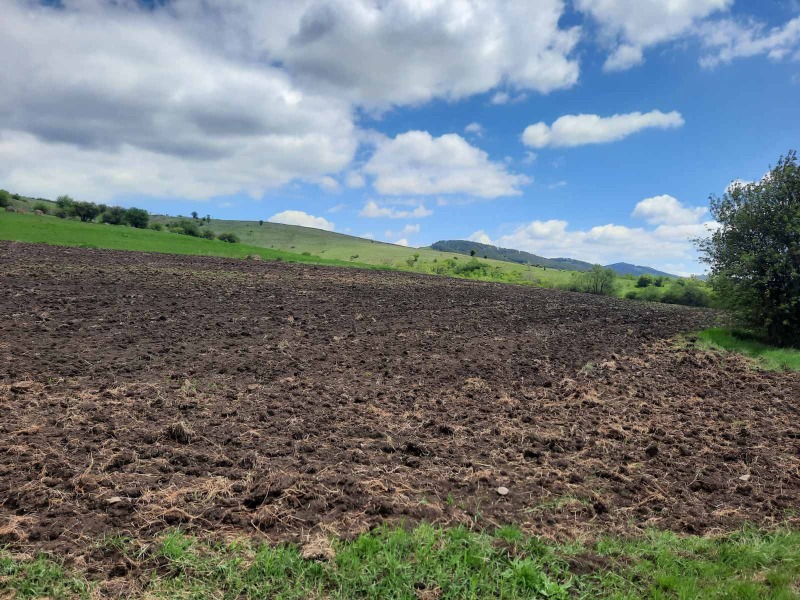 Na prodej  Přistát oblast Pernik , Arzan , 4 dka | 41642663 - obraz [4]
