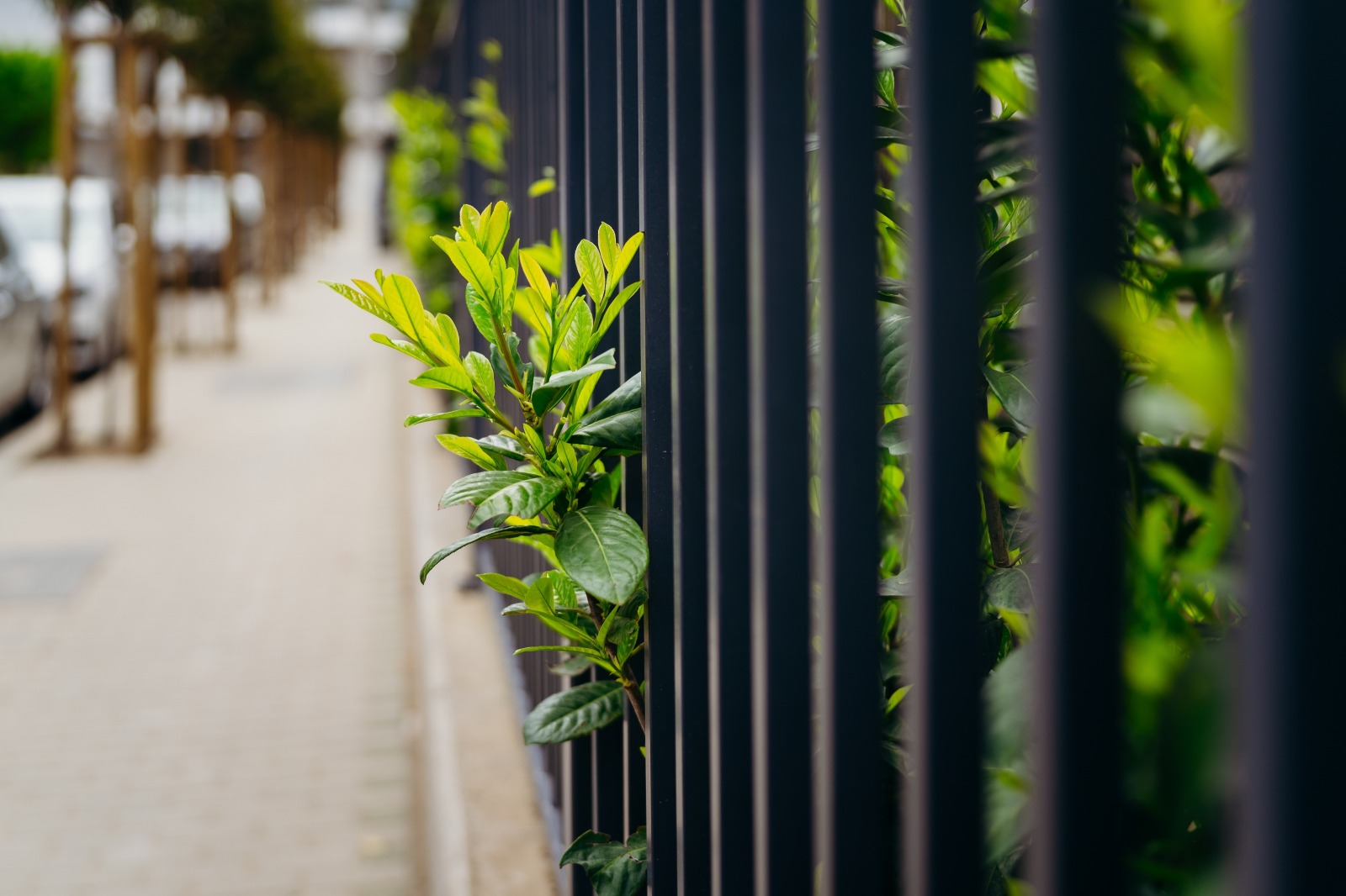 Продава 4-СТАЕН, гр. София, Кръстова вада, снимка 7 - Апартаменти - 53613262