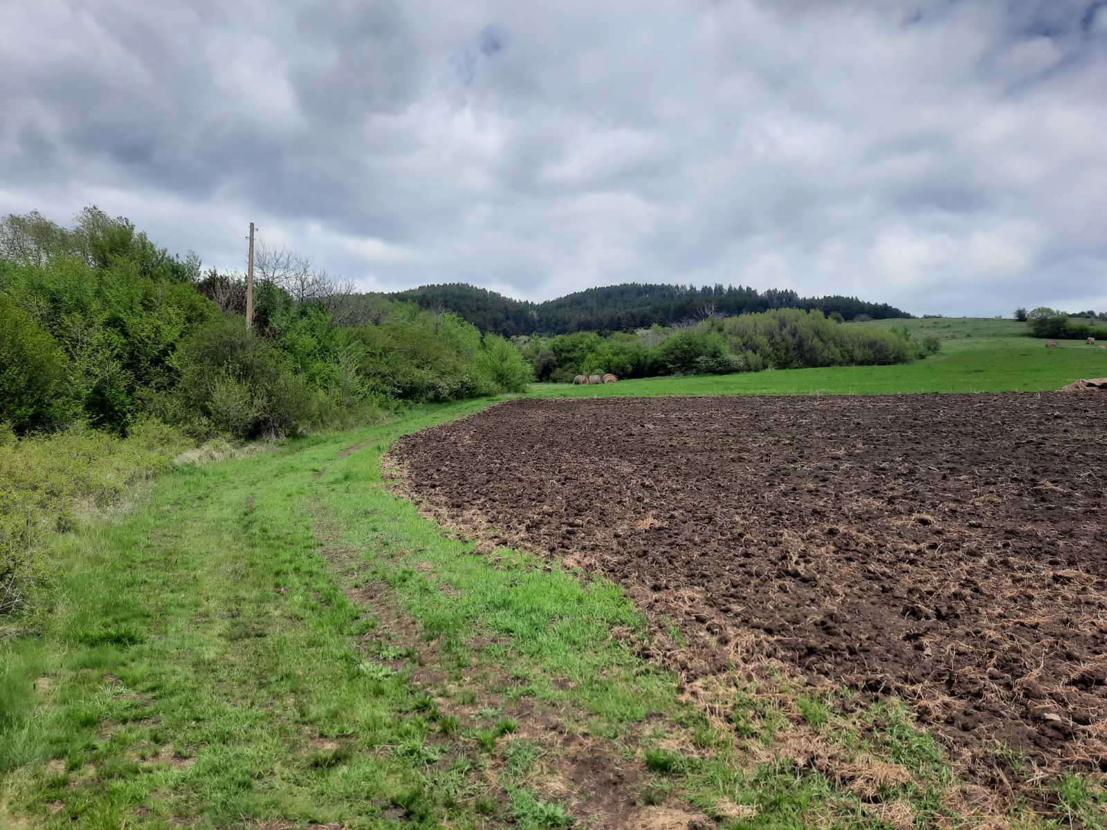 Продава ЗЕМЕДЕЛСКА ЗЕМЯ, с. Арзан, област Перник, снимка 2 - Земеделска земя - 50197321