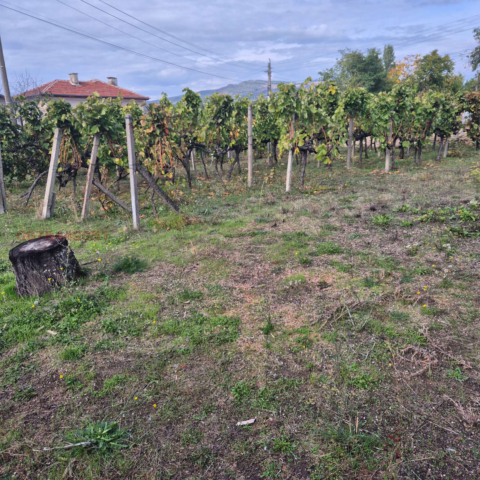 ������� ���� | Imot.bg � ����������� 7