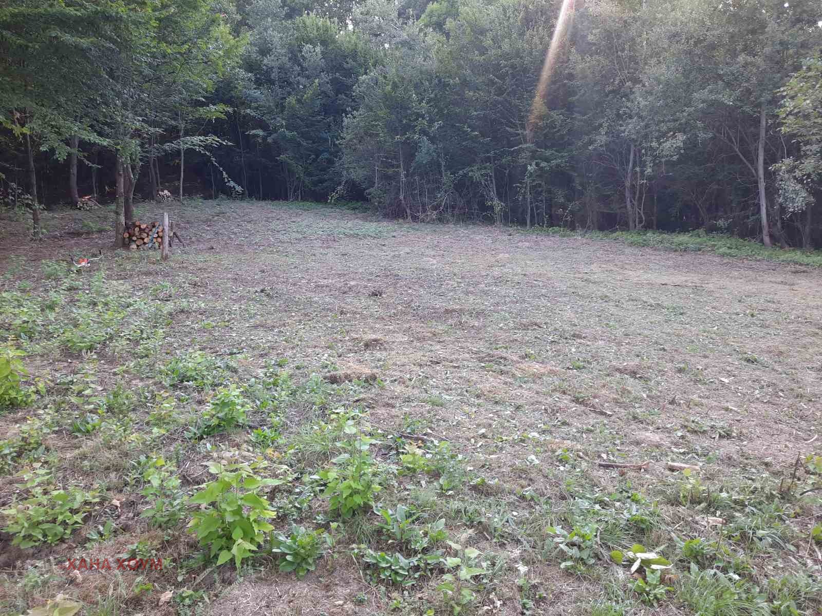 ������� ������ | Imot.bg � ����������� 1