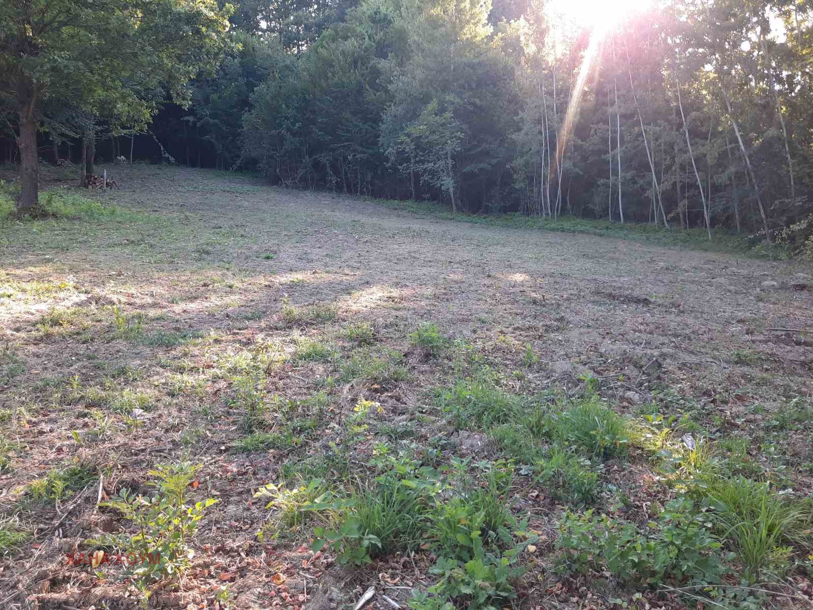 ������� ������ | Imot.bg � ����������� 2