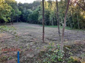 ������� ������ | Imot.bg � ����� ������ 9