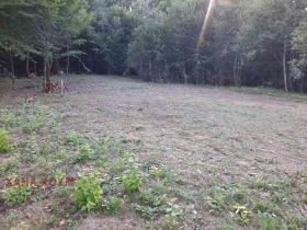 ����� ������� ������,�. ����������, ������ �����