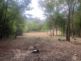 ������� ������ | Imot.bg � ����� ������ 6