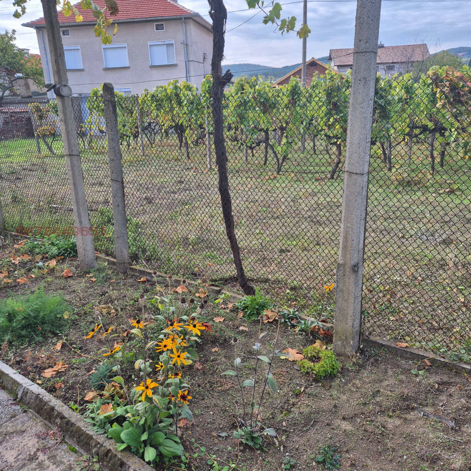 Продава КЪЩА, с. Елшица, област Пазарджик, снимка 3 - Къщи - 54273582