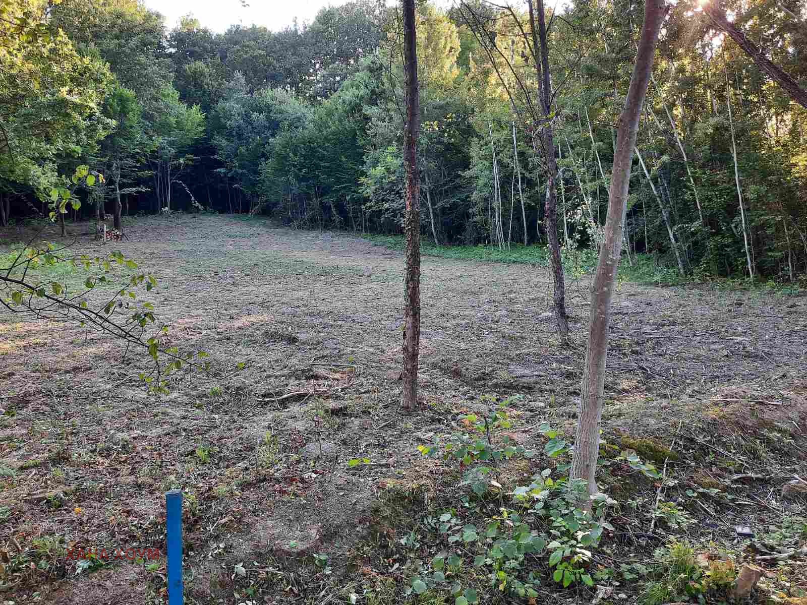 Продава ПАРЦЕЛ, с. Скандалото, област Ловеч, снимка 8 - Парцели - 41795184