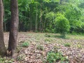 Продава ПАРЦЕЛ, с. Скандалото, област Ловеч, снимка 4