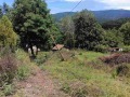 Продава  Парцел област Перник , с. Рударци , 878 кв.м | 22134722 - изображение [7]