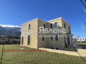 ����� ������� ����,���� �����, ����������