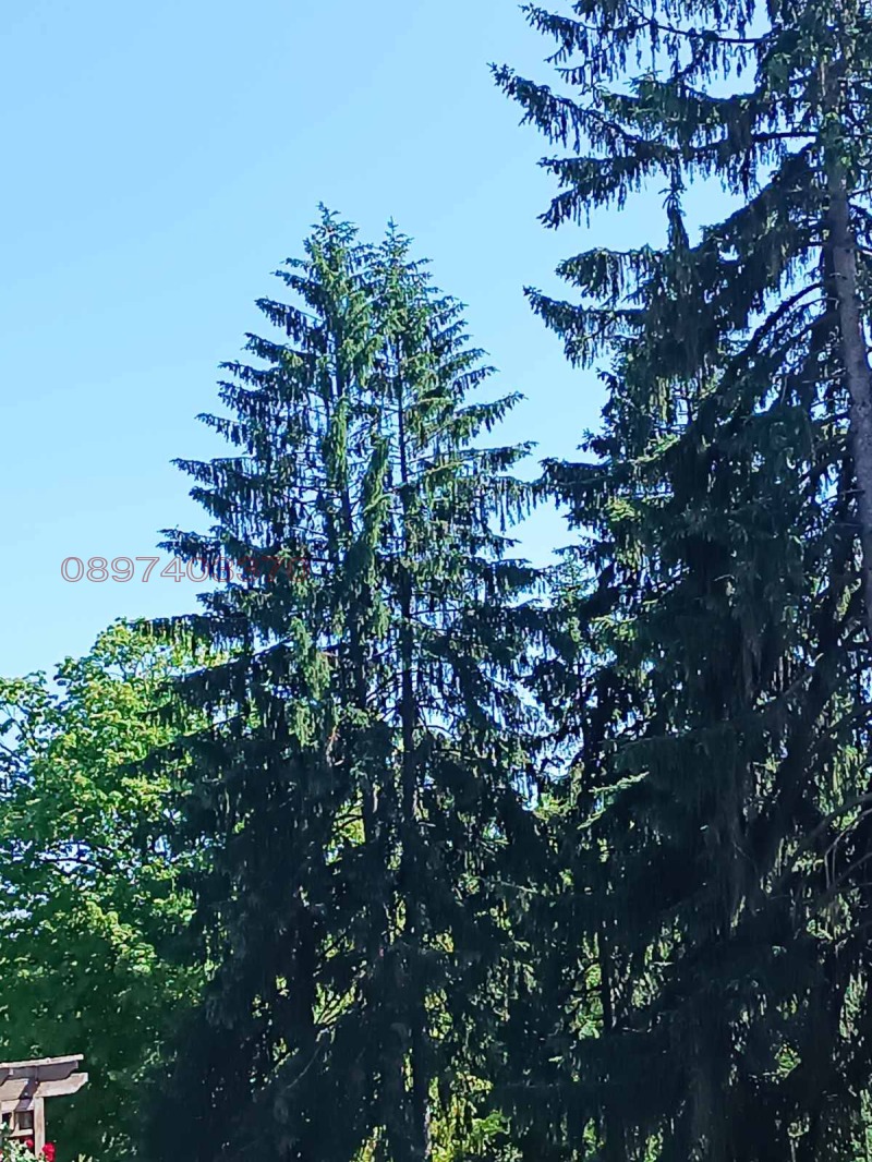 Продава 2-СТАЕН, гр. Добрич, Център, снимка 8 - Апартаменти - 52769872