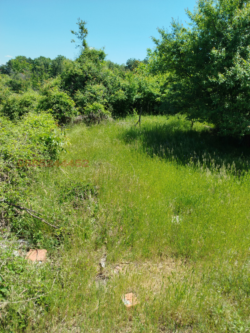 Продава ПАРЦЕЛ, с. Обретеник, област Русе, снимка 2 - Парцели - 52786367