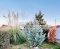 Продава КЪЩА, област Пловдив, с. Куртово Конаре • 117000 € • 86316889 — Holmes.bg