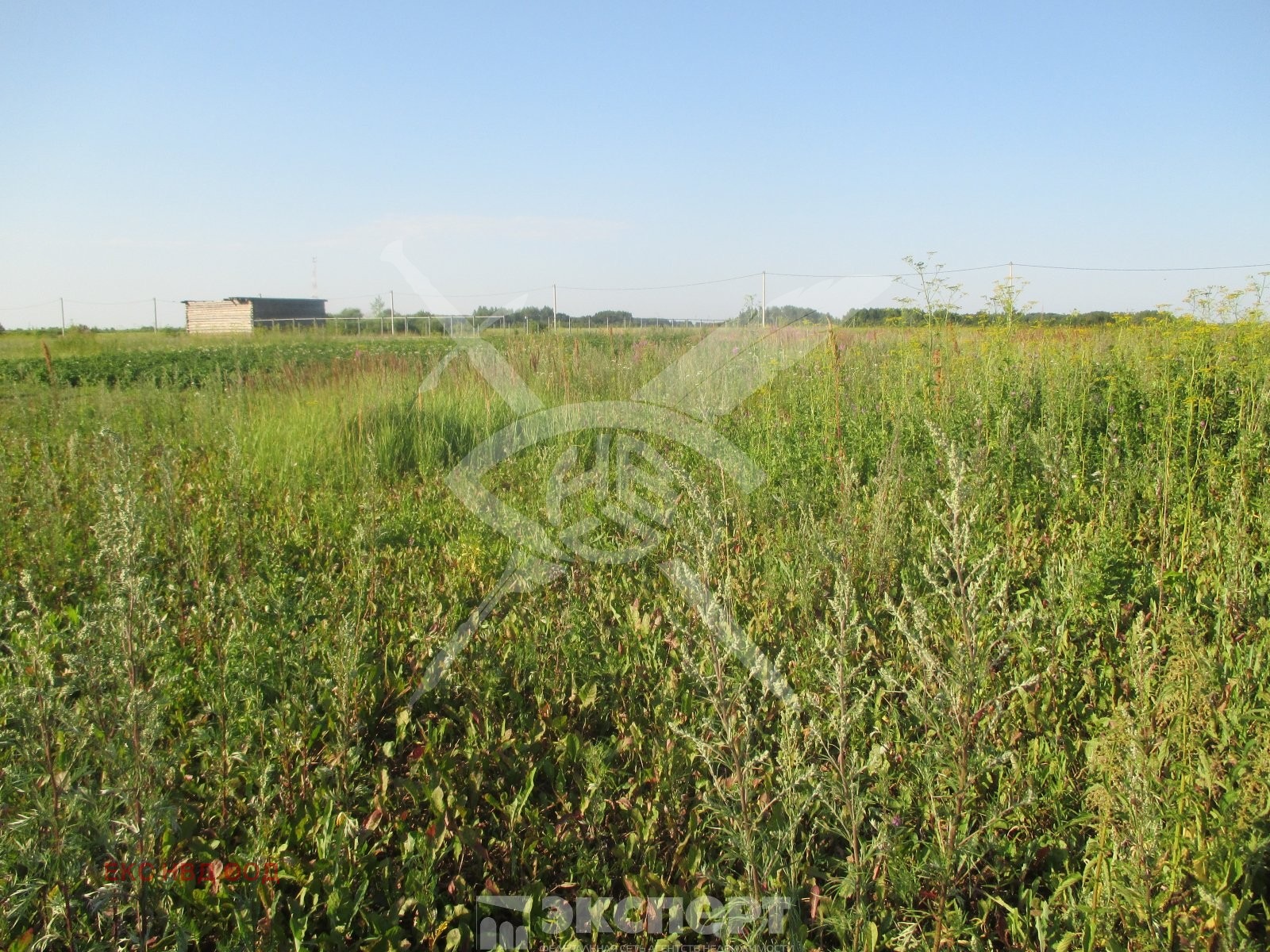 Продава ПАРЦЕЛ | Imot.bg — изображение 1