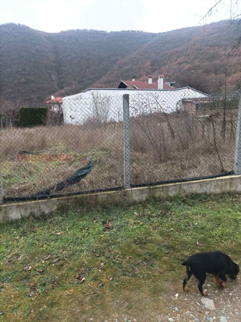 Продава ПАРЦЕЛ, с. Железница, област Благоевград, снимка 2 - Парцели - 53370897