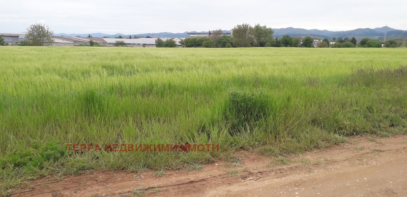 Продава ПАРЦЕЛ в град София, с. Чепинци - 4568 кв.м / 242 104 € » 473 514.27 лв., ТЕРРА НЕДВИЖИМИ ИМОТИ