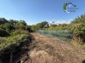 Продава  Парцел област Шумен , с. Имренчево , 1080 кв.м | 64232140