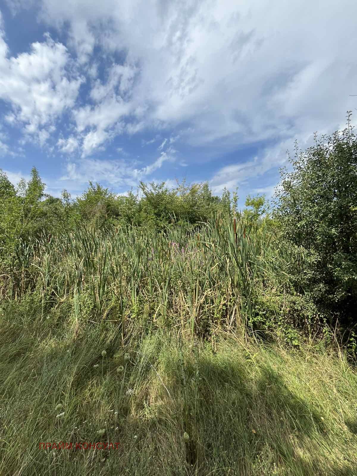 Продава ПАРЦЕЛ | Imot.bg — изображение 5