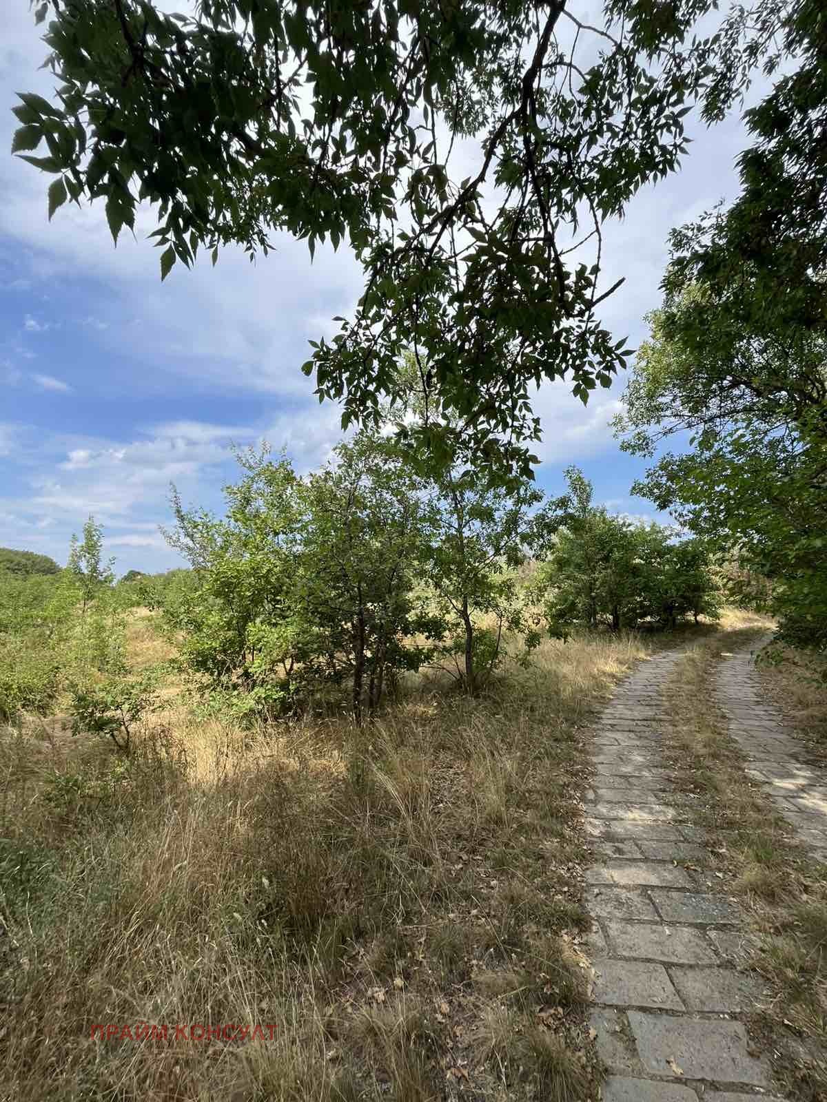 Продава ПАРЦЕЛ | Imot.bg — изображение 3